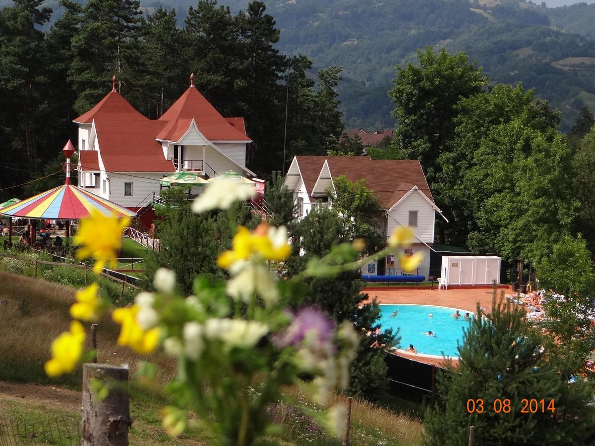 Cabana Pensiune La Brazi Vulcan  Buitenkant foto